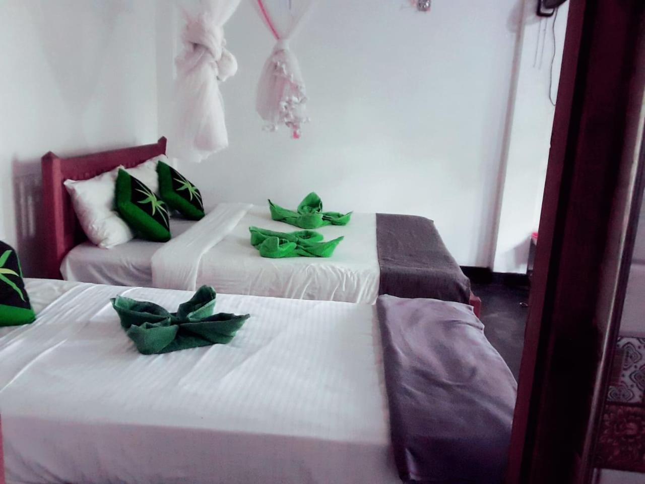 Enthral View Homestay Ella Extérieur photo