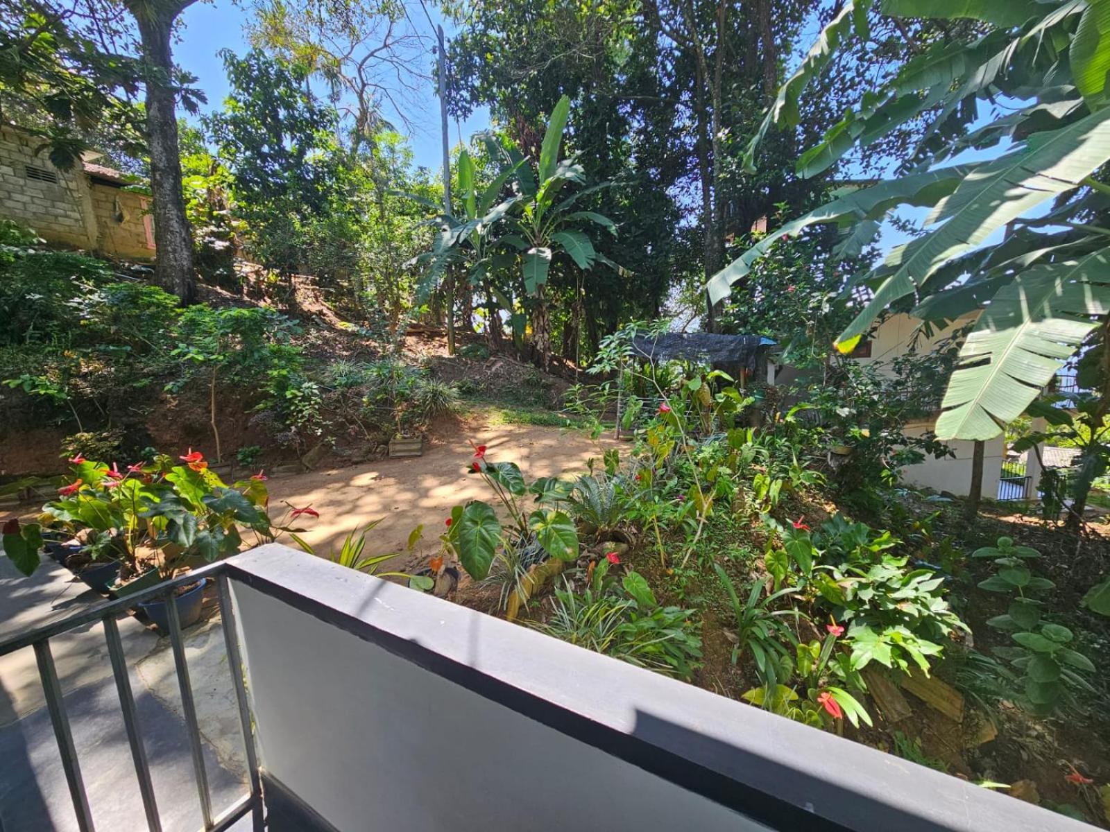 Enthral View Homestay Ella Extérieur photo